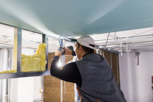 Best Fiberglass Insulation in Waverly, IL