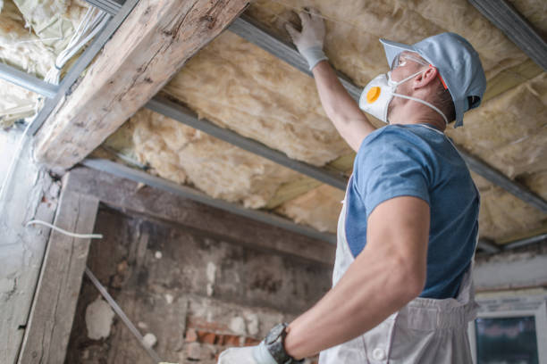 Types of Insulation We Offer in Waverly, IL