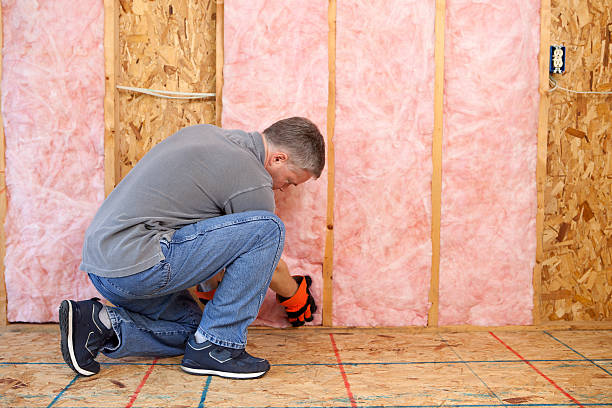 Trusted Waverly, IL Insulation Contractor Experts
